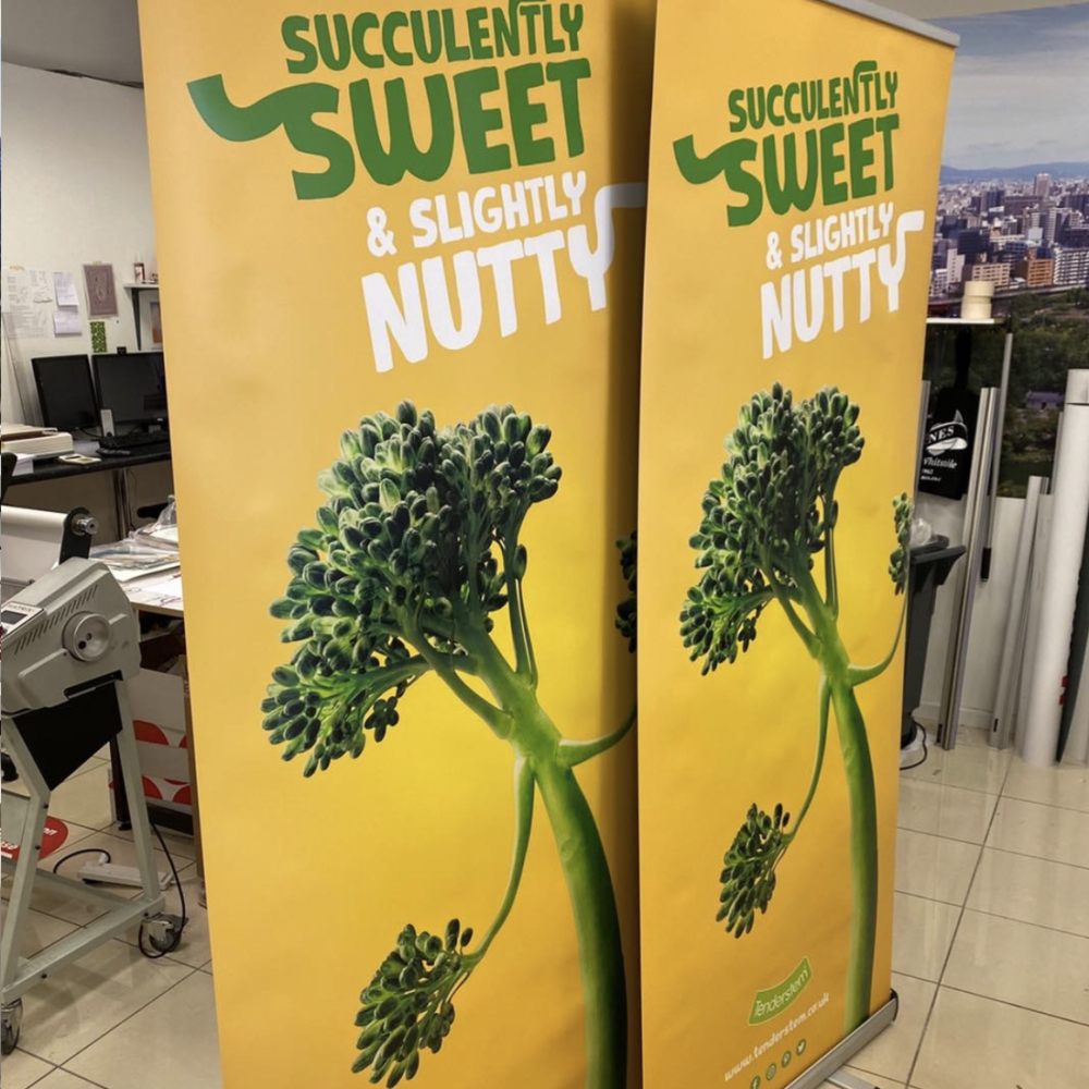 Roller Banners